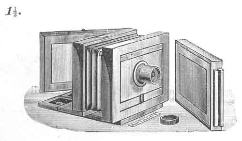 An1.5Cat.jpg (32435 bytes)