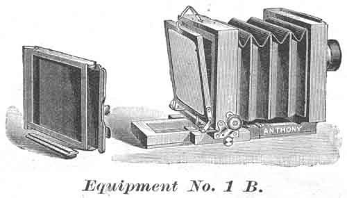 an1bcat.jpg (33173 bytes)