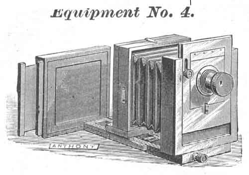 an4cat.jpg (44981 bytes)