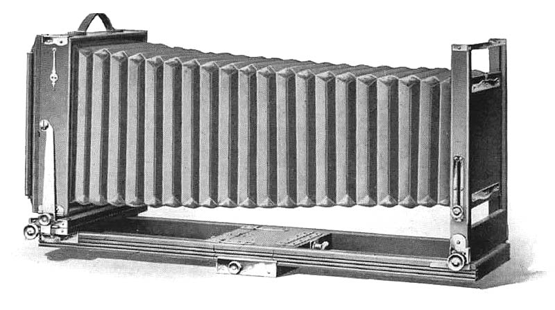 ek2dcat.jpg (31767 bytes)