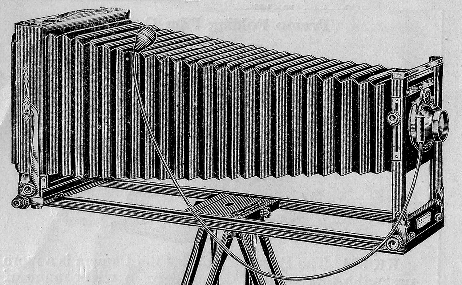 montwardschicagolp96p32.jpg (154349 bytes)