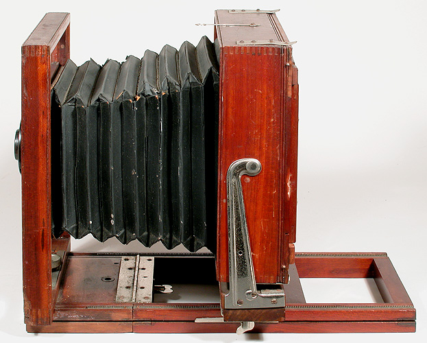 senecacompetitor5x7d202.jpg (34445 bytes)