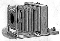 tnanbijcat.jpg (4556 bytes)