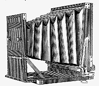 tnankinearcat.jpg (4703 bytes)
