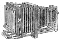 tnaoripcat.jpg (5129 bytes)