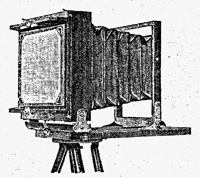 tnmantricat.jpg (4021 bytes)